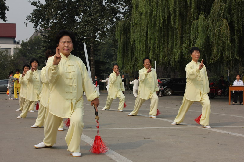 濮阳太极拳的以柔克钢