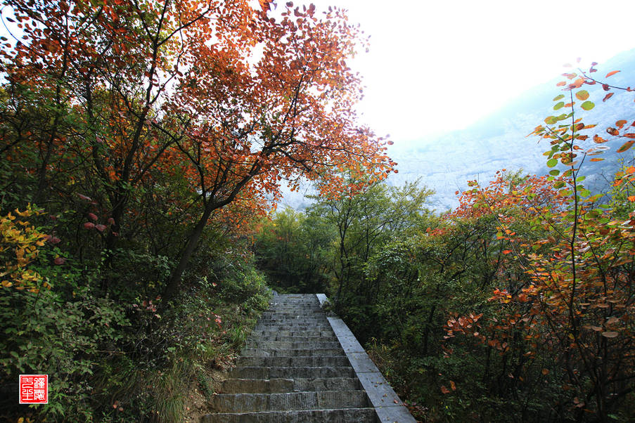靳家岭赏红叶