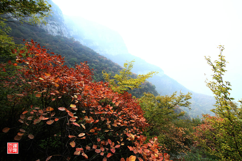 靳家岭赏红叶