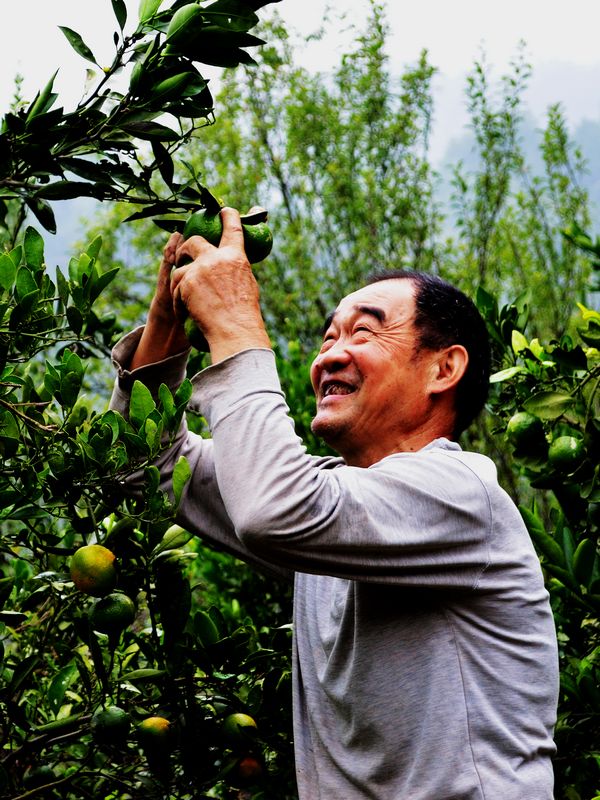 丰收的喜悦