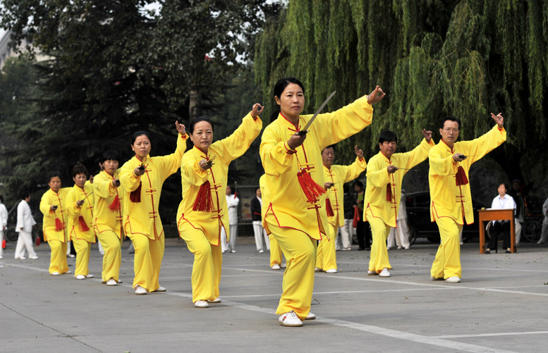 市第17届太极拳比赛大会存照