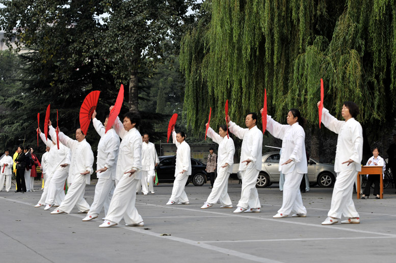 市第17届太极拳比赛大会存照