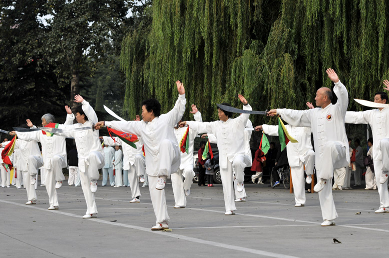 市第17届太极拳比赛大会存照