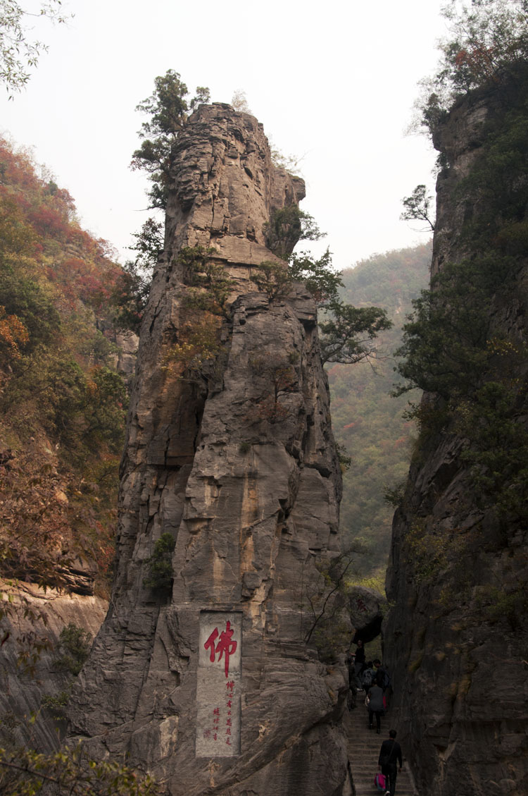 靳家岭初探