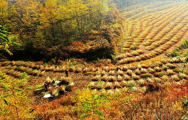 秋游太行赏美景