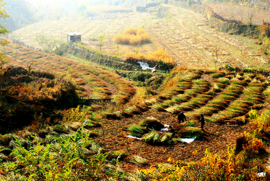 秋游太行赏美景