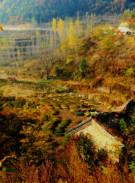 秋游太行赏美景