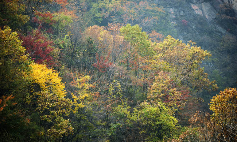 秀美白云山