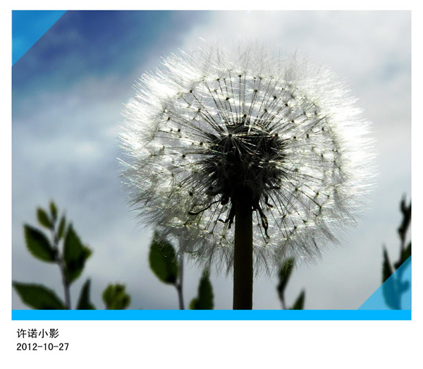 来自石油运输公司的菜鸟发继续发帖