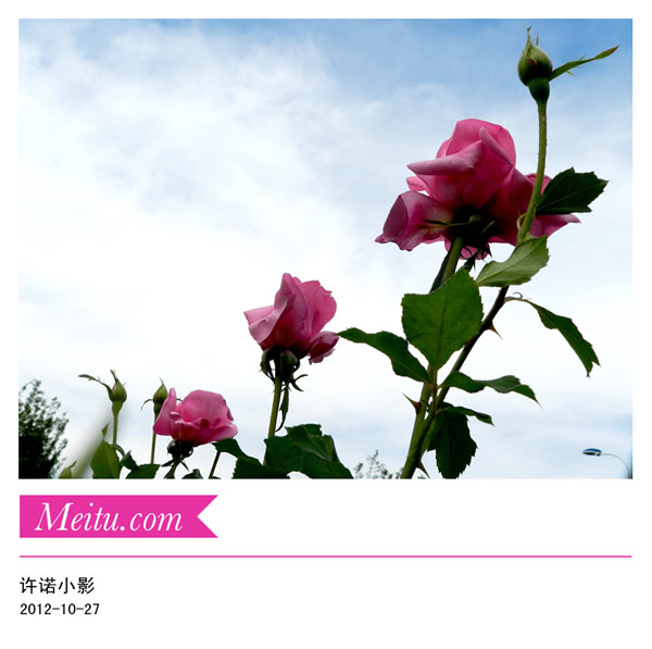 来自石油运输公司的菜鸟还发