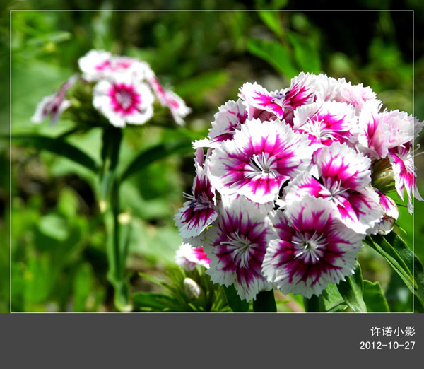 来自石油运输公司的菜鸟最后再发一张