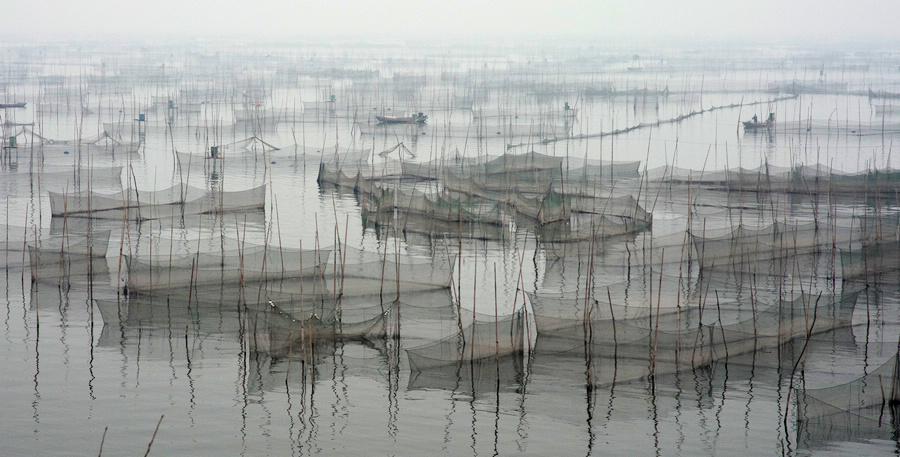东平湖归来汇报帖