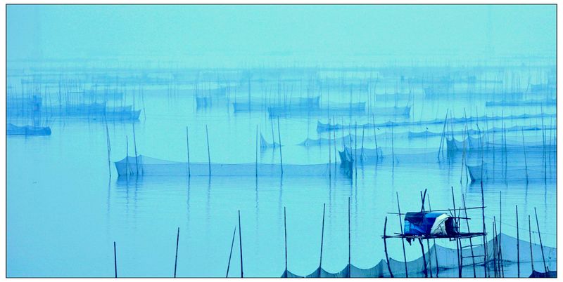东平湖