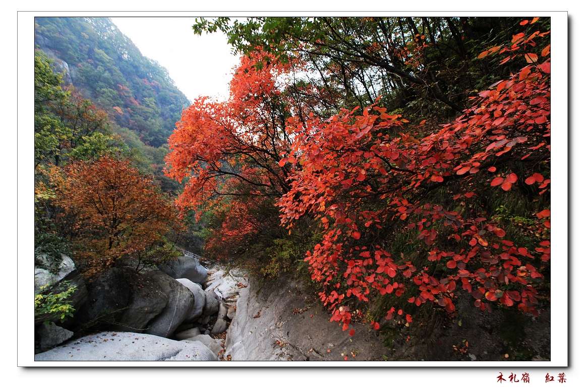 木札岭 白云山浅秋之旅