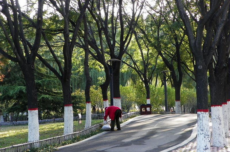 新蕾公园的几张小景