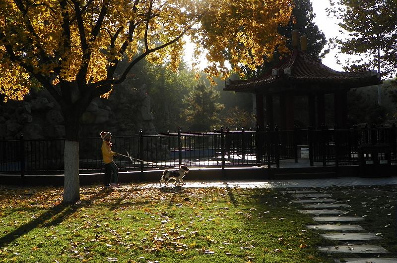 新蕾公园的几张小景