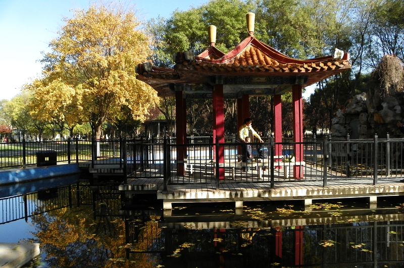新蕾公园的几张小景