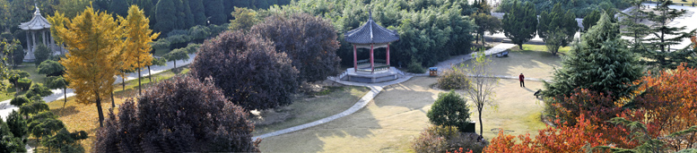 戚城秋色(接片)