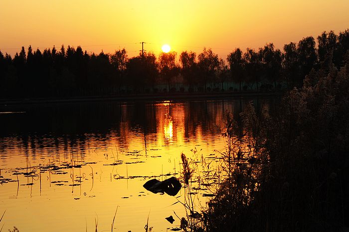 最美不过夕阳红！
