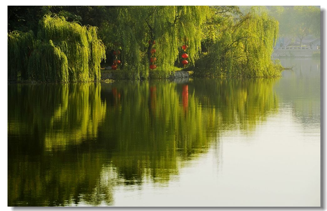 [原创]绿影点点红