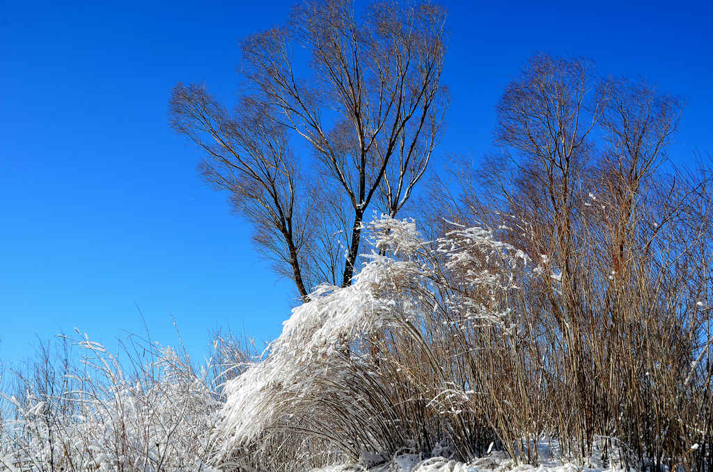油区雪景