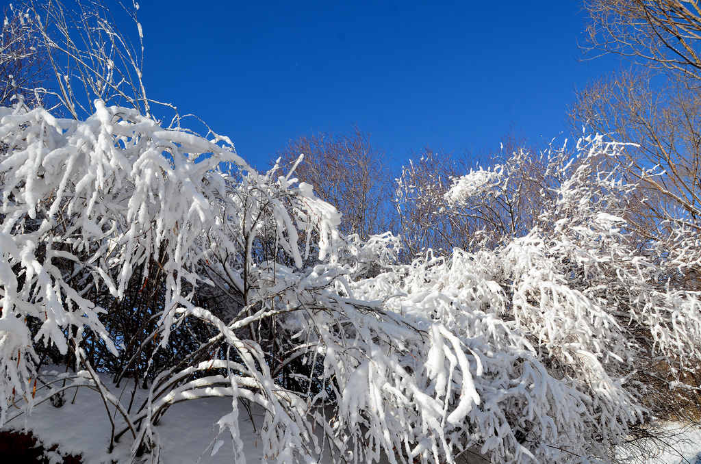 油区雪景