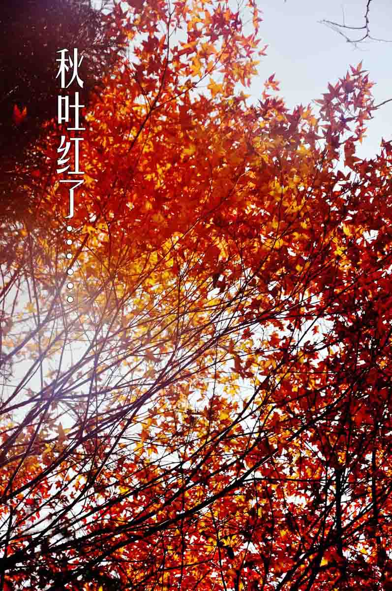 庐山风景