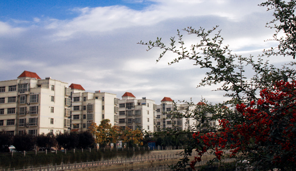 濮阳小景