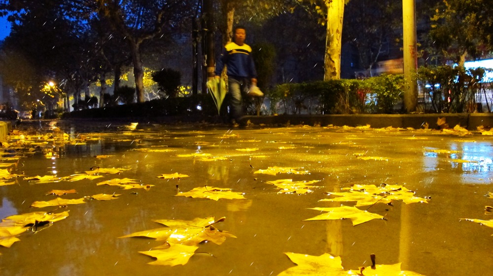 [原创]一场秋雨一场寒