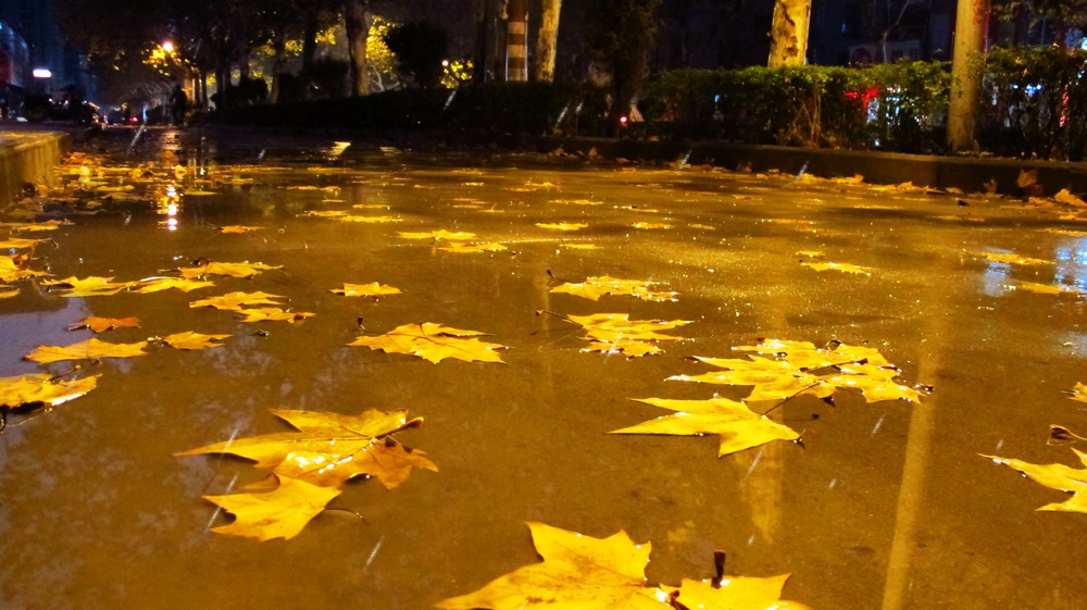 [原创]一场秋雨一场寒