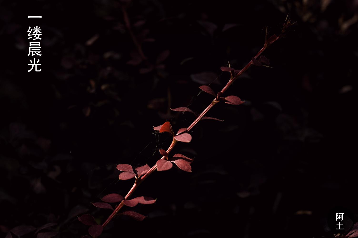 随拍