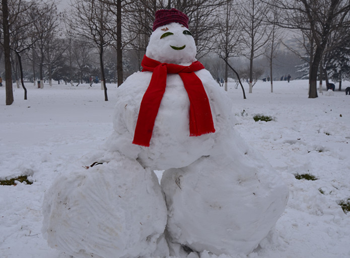 2012年的第一场雪