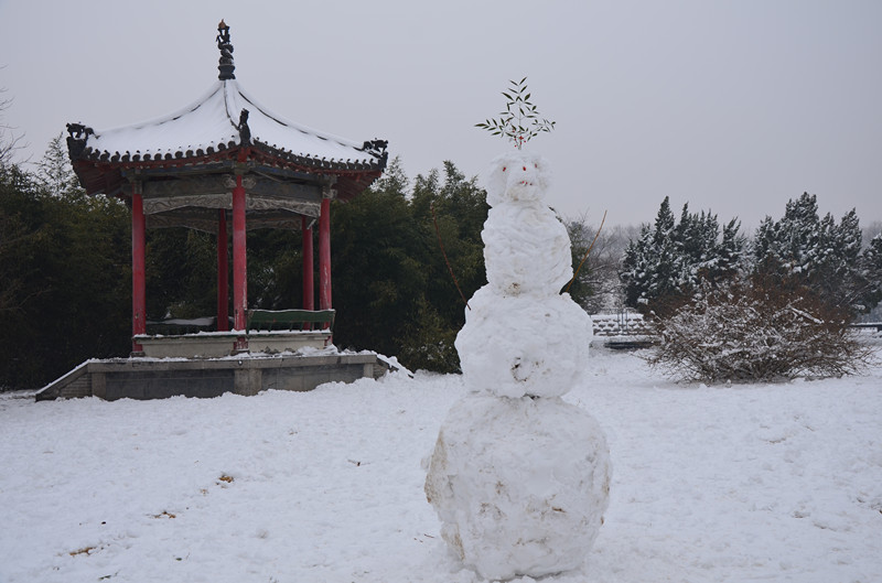 2012年的第一场雪