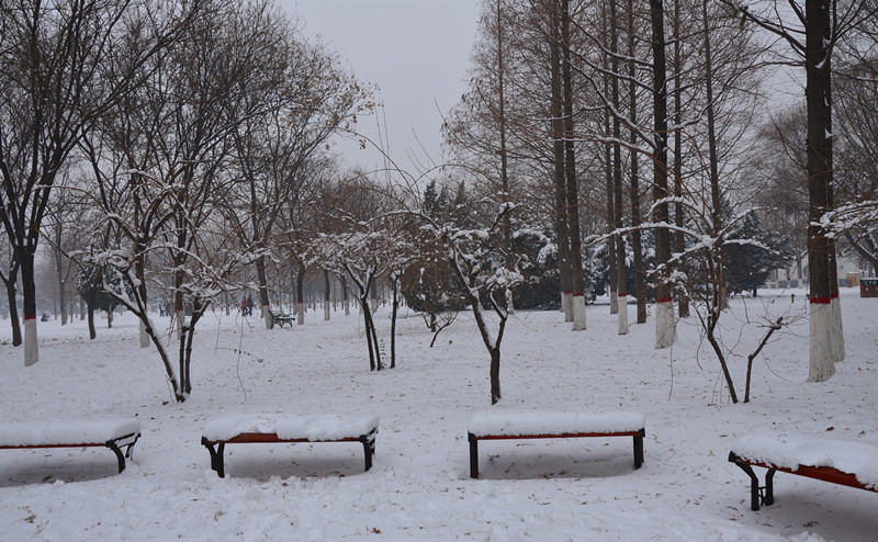 2012年的第一场雪