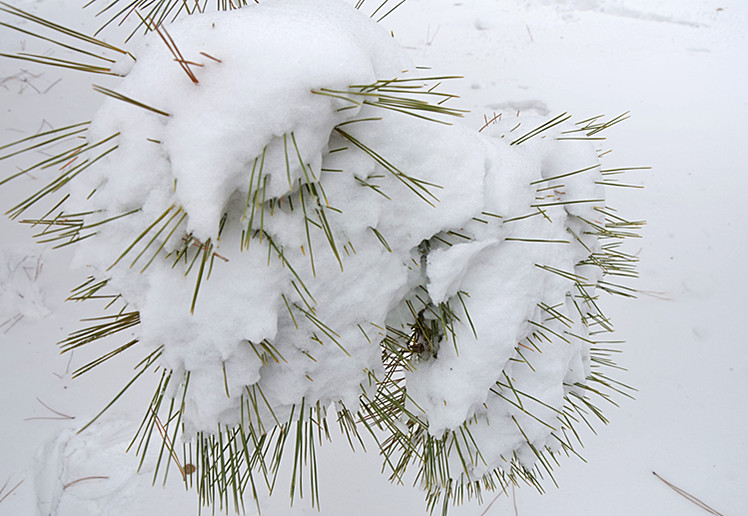 2012年的第一场雪