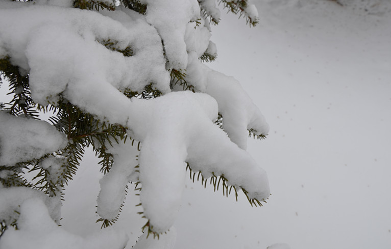 2012年的第一场雪