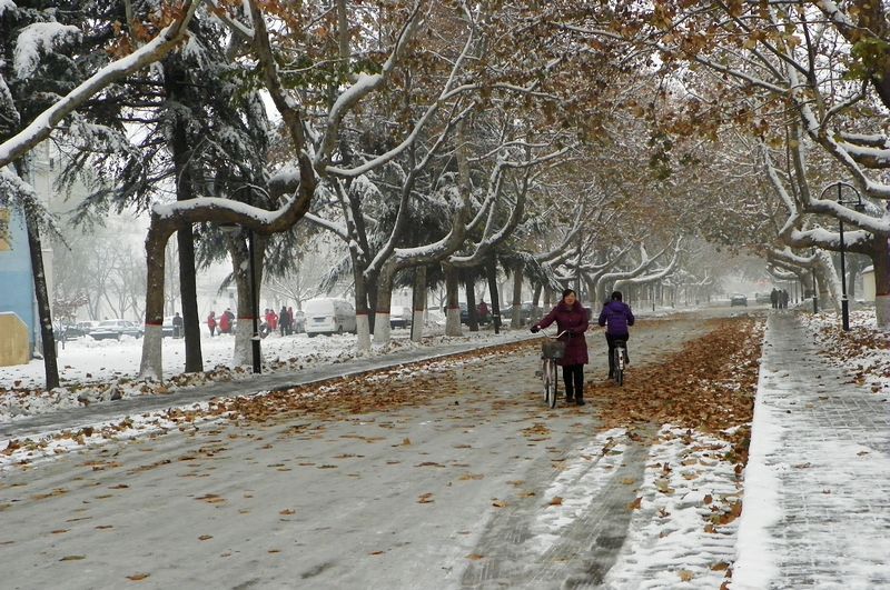 终于下雪了！！
