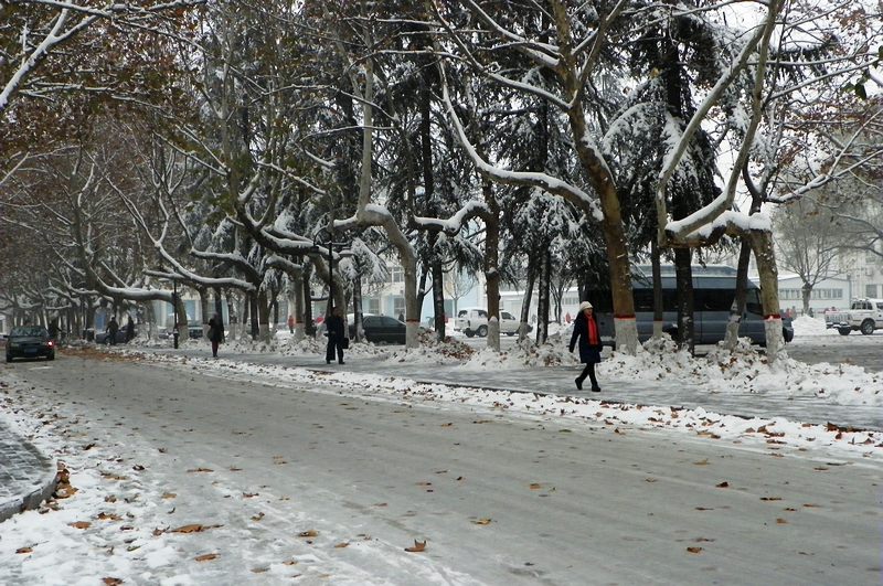 终于下雪了！！
