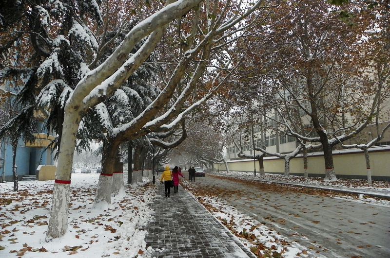 终于下雪了！！