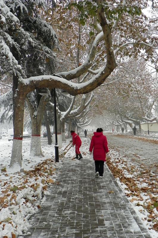 终于下雪了！！
