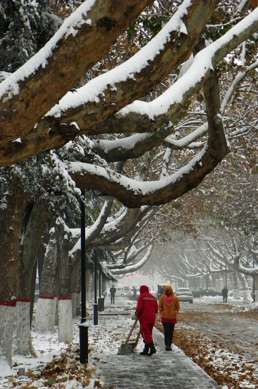 终于下雪了！！