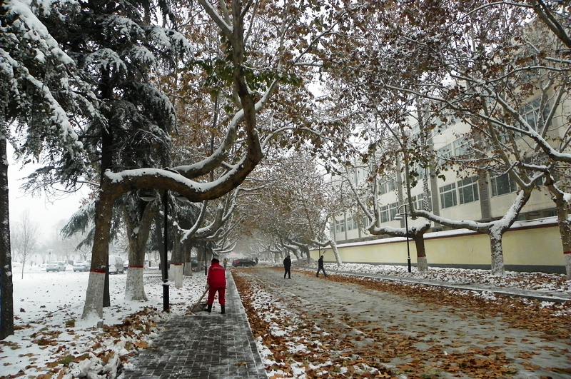 终于下雪了！！