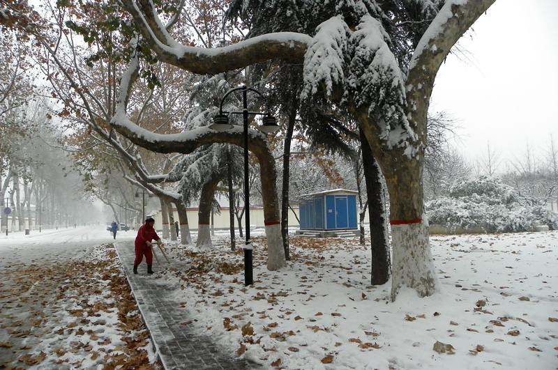 终于下雪了！！