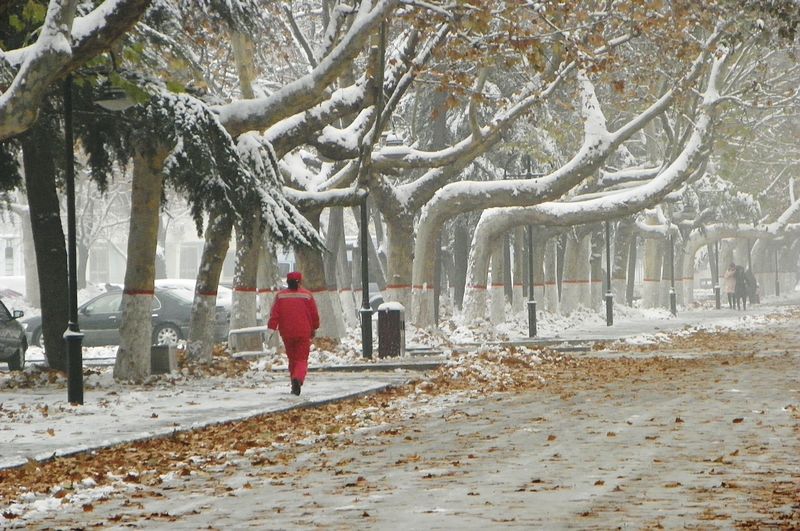 终于下雪了！！