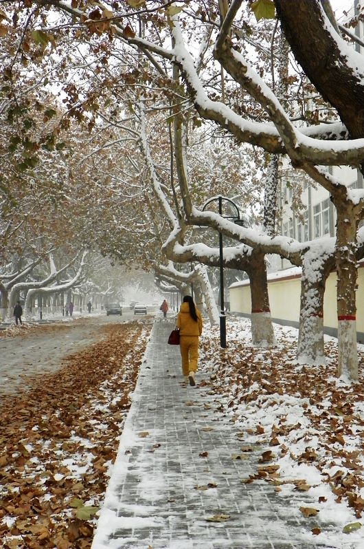 终于下雪了！！
