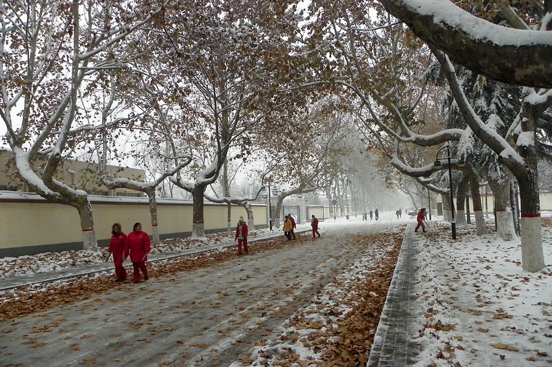 终于下雪了！！