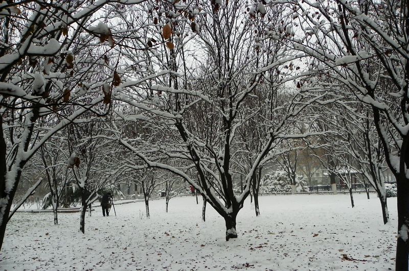终于下雪了！！