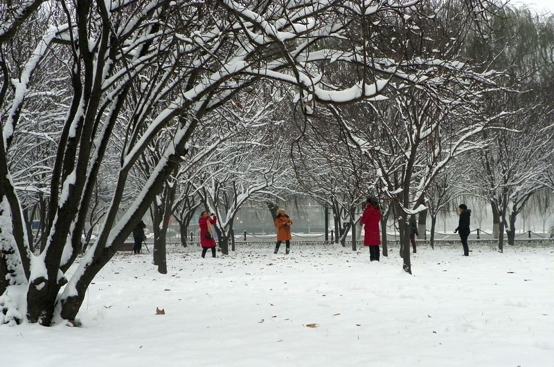 终于下雪了！！