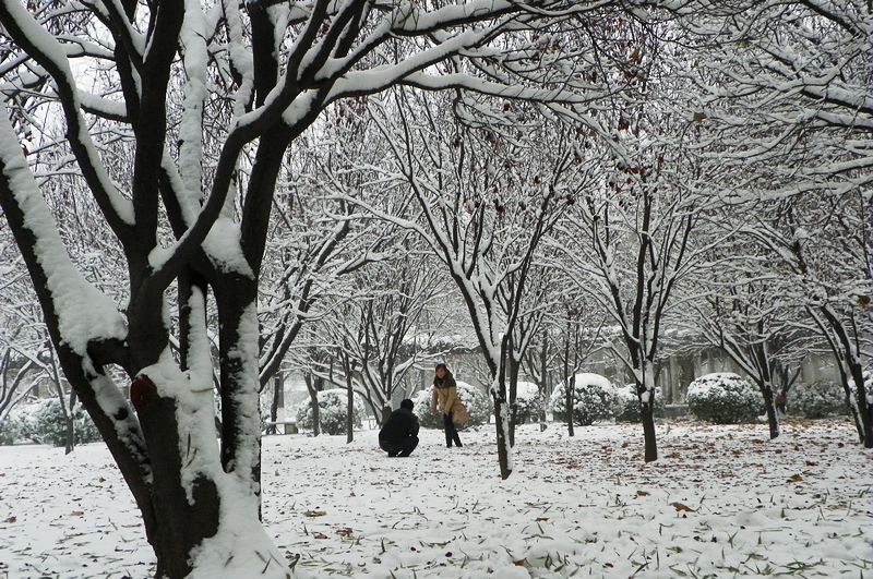 终于下雪了！！