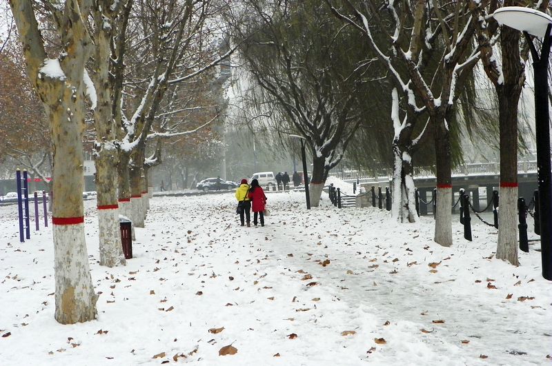 终于下雪了！！